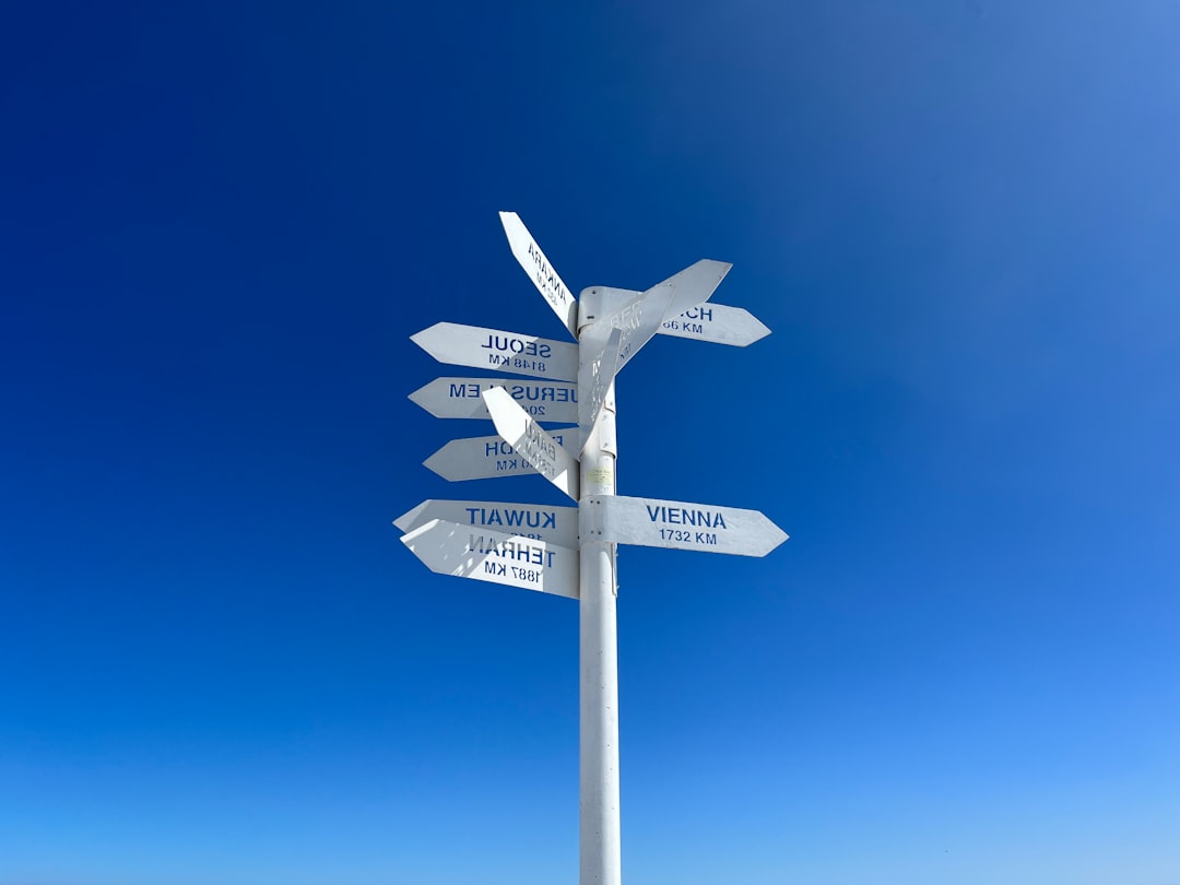 Ścieżka kariery naukowej po studiach magisterskich z biologii – jak zacząć?