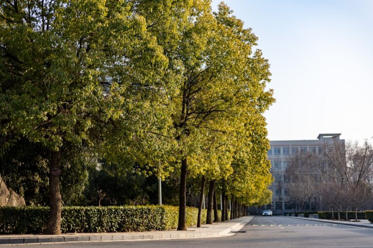 Projektowanie wnętrz – jak zacząć karierę w tej branży?