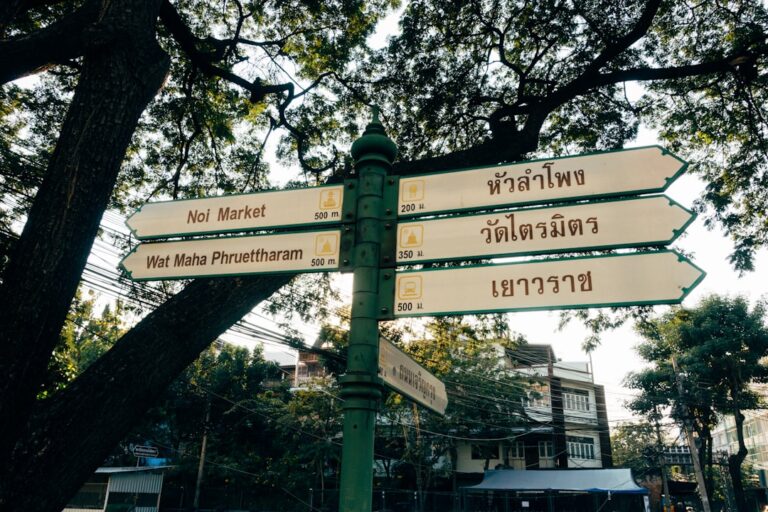 Kognitywistyka – co to jest i gdzie ją studiować?